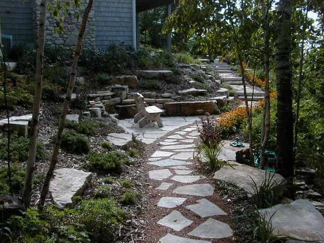 Backyard with plants and stone walkway.