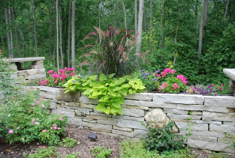 Stone wall with greenery and colorful flowers.