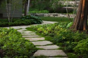 Stone walkway surrounded by green plants on either side.