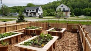 Raised garden surrounded by wooden fence.