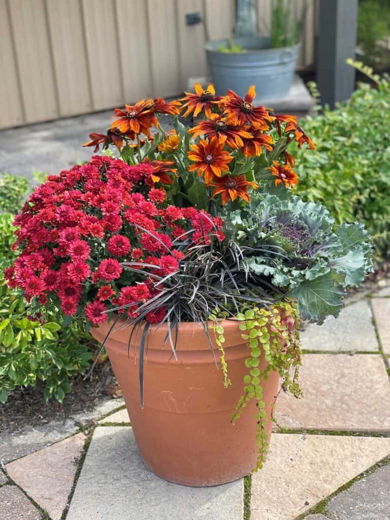 Fall seasonal color flower arrangement.