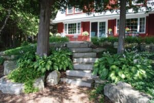Stone steps leading to house surrounded by hostas and trees.