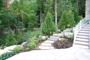 Stone walkway leading to house surrounded by pine trees and green plants.